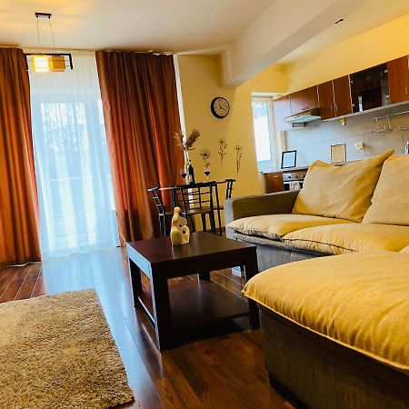 Eclipse Apartment Free Parking Cluj-Napoca Exteriör bild