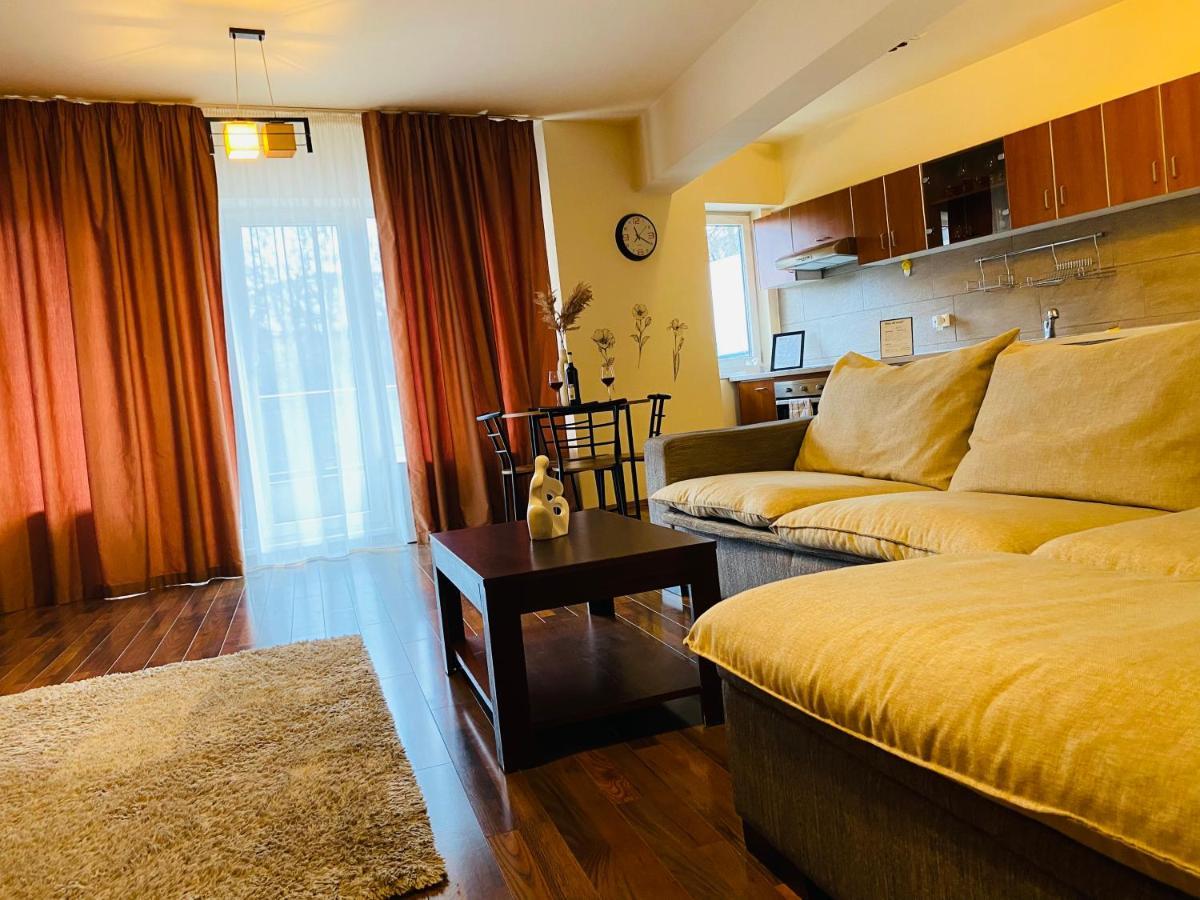 Eclipse Apartment Free Parking Cluj-Napoca Exteriör bild